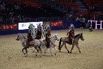 Quadrille - 00188